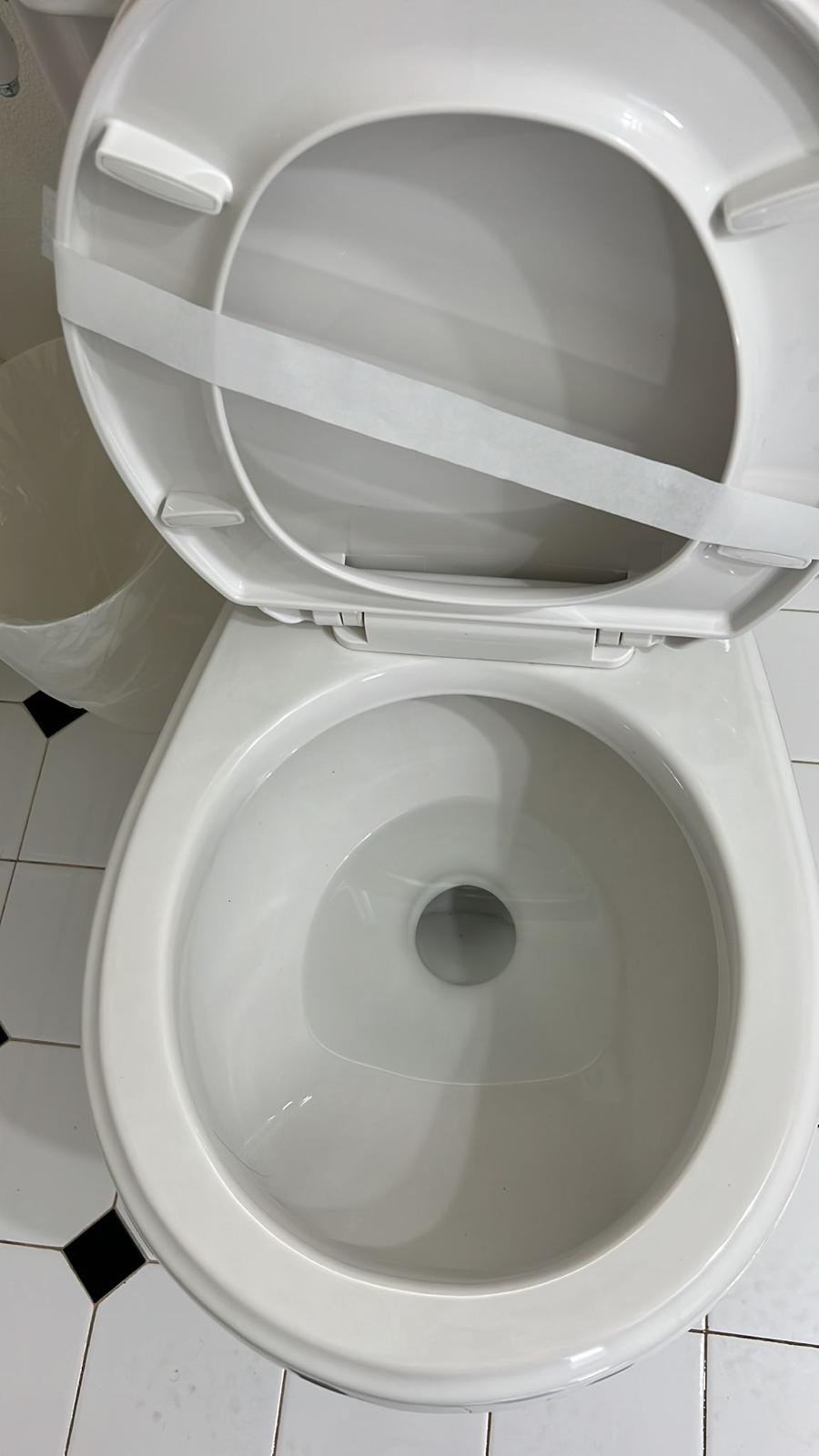 Clean Toilet After Service